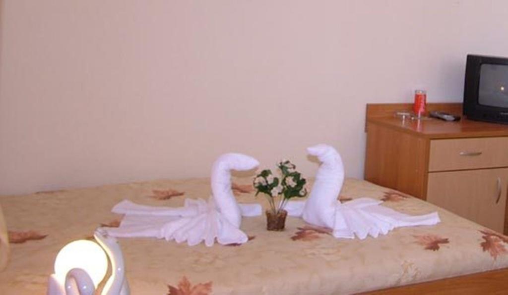 Family Hotel St. Constantine And Helena Iwajłowgrad Zewnętrze zdjęcie
